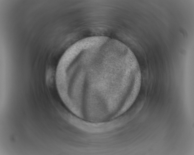 X0000113240038200910081307