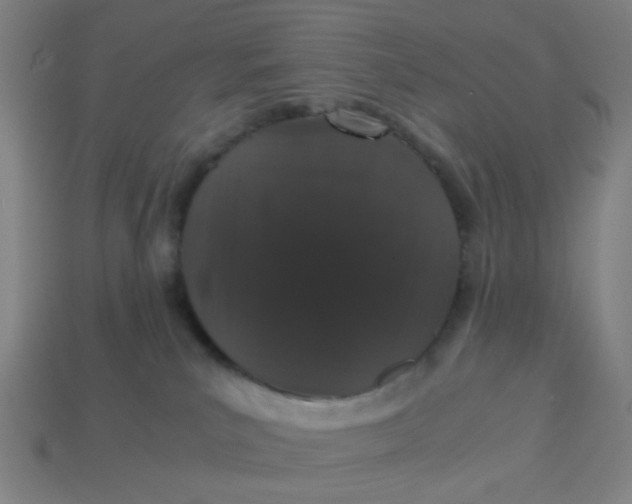 X0000113240039200910081307