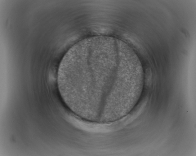 X0000113240040200910081307
