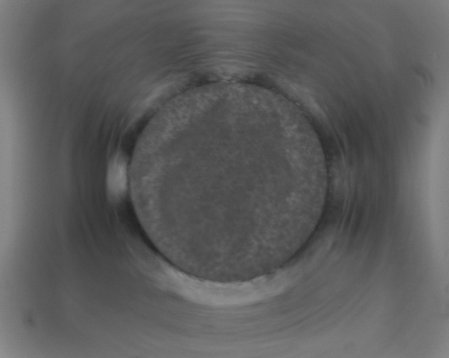 X0000113240042200910081307