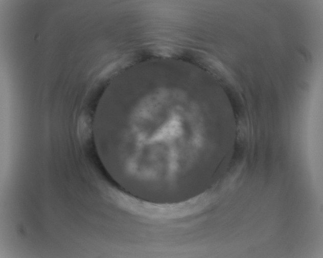 X0000113240043200910081307