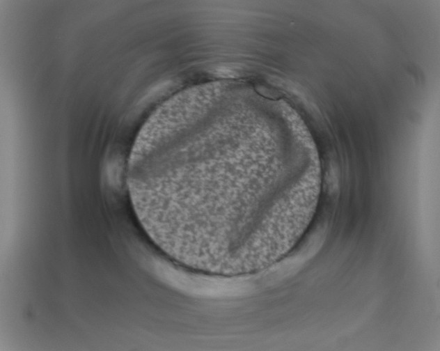 X0000113240044200910081307