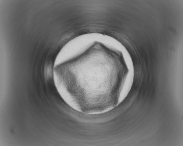 X0000113240046200910081307