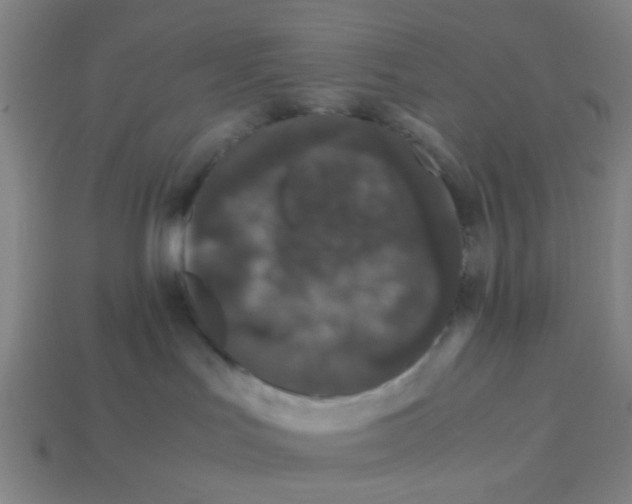 X0000113240047200910081307