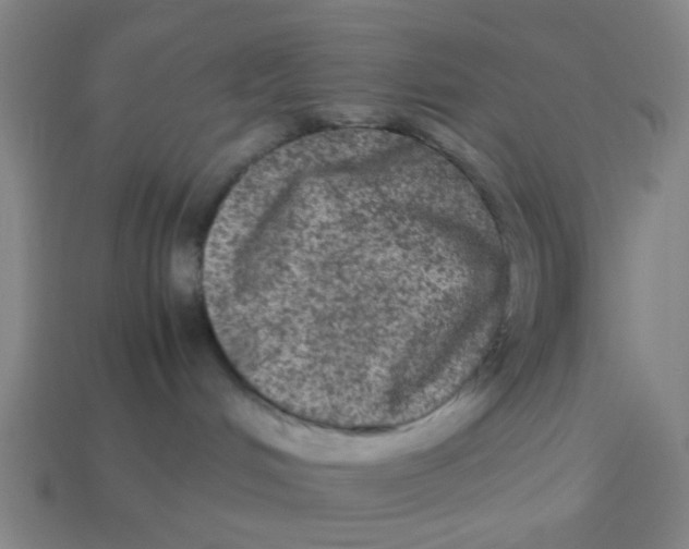 X0000113240048200910081307