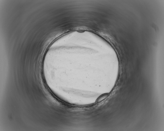 X0000113240049200910081306