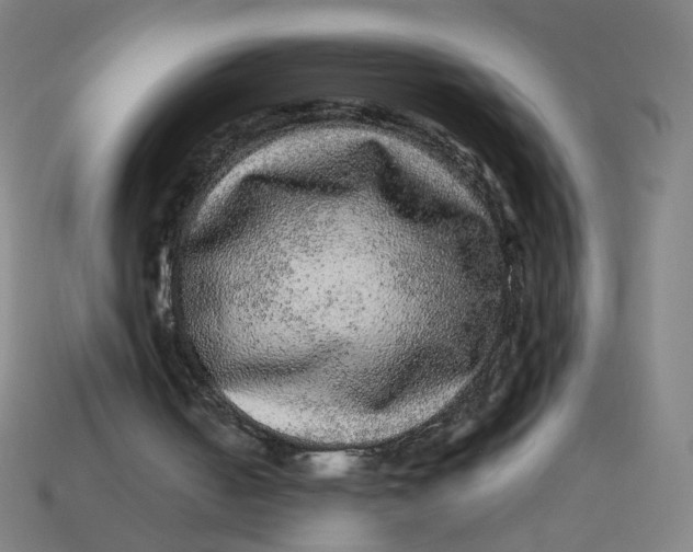 X0000113240050200910081306
