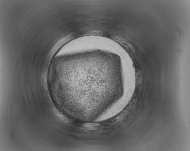 X0000113240051200910081306