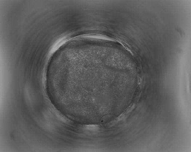 X0000113240053200910081306