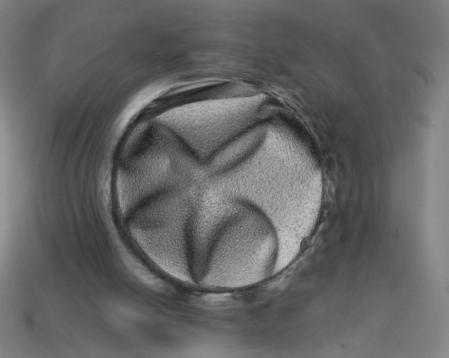 X0000113240054200910081306