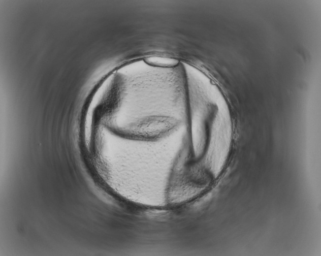 X0000113240055200910081306