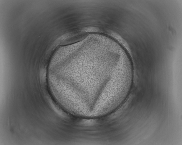 X0000113240057200910081306