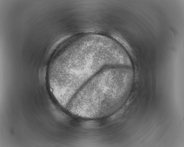 X0000113240058200910081306