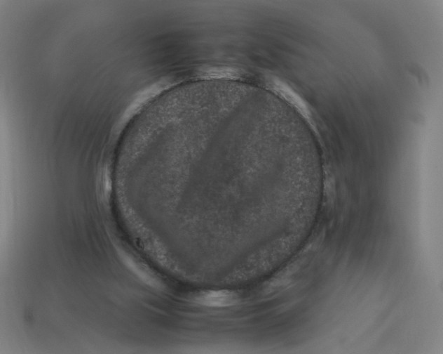 X0000113240059200910081306