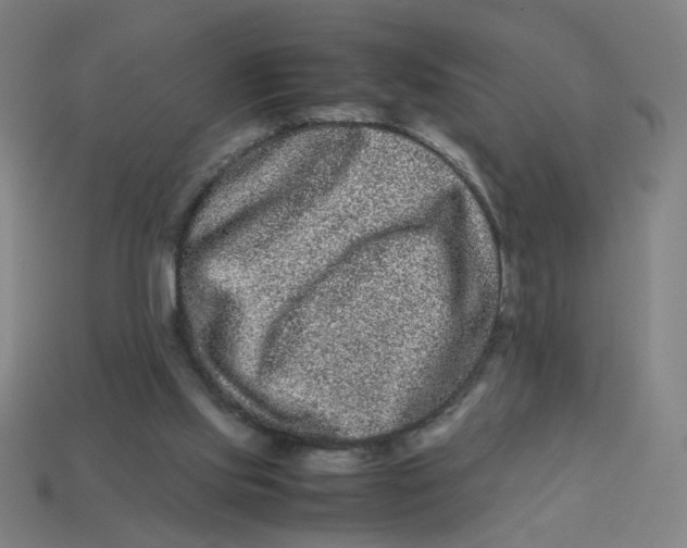 X0000113240061200910081306