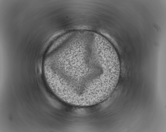 X0000113240062200910081306