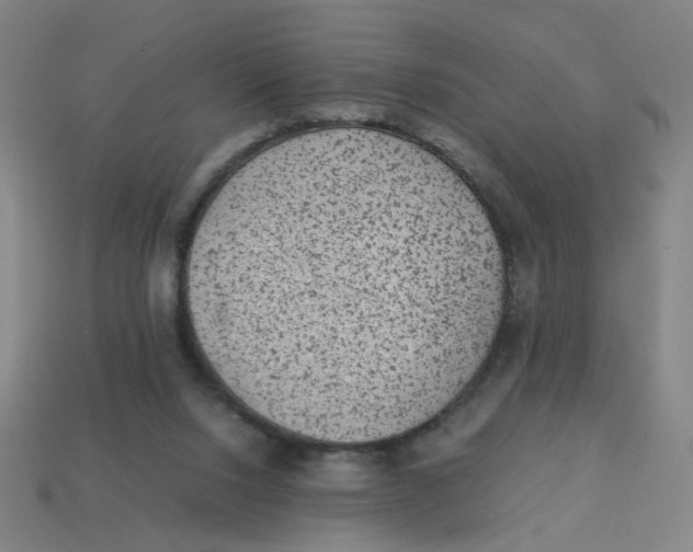 X0000113240064200910081306