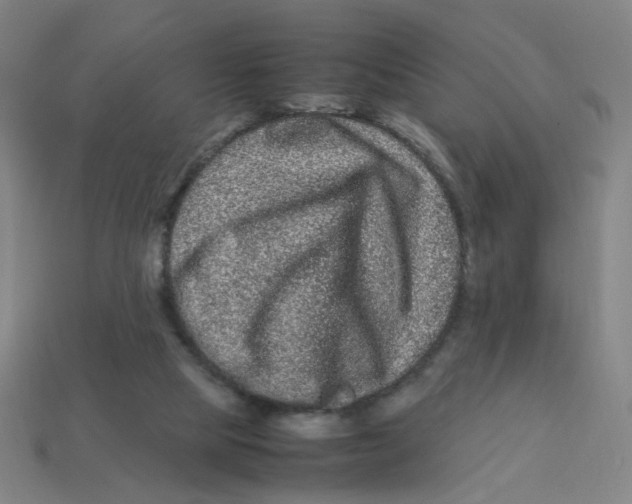 X0000113240065200910081306