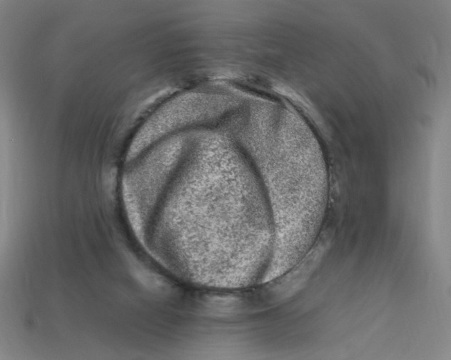 X0000113240066200910081306