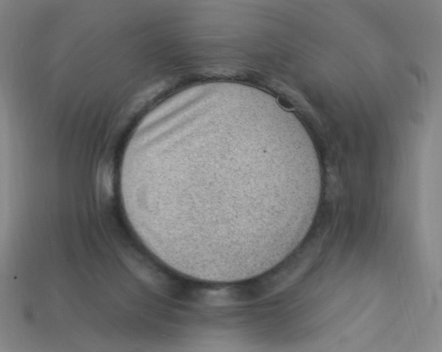 X0000113240068200910081306