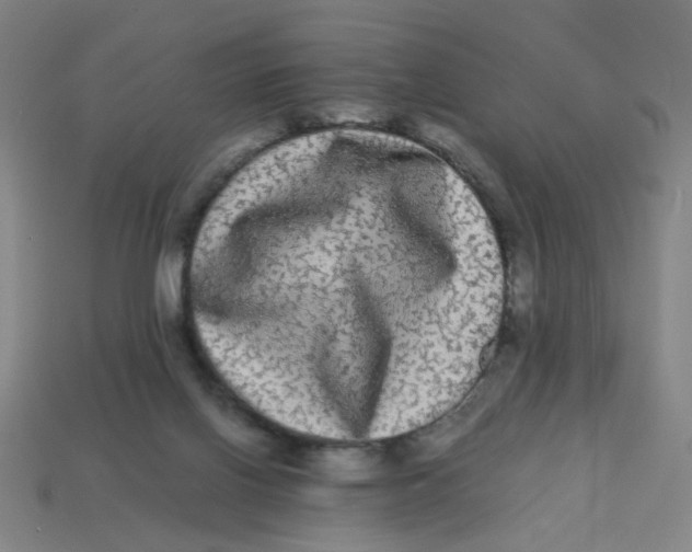X0000113240070200910081306