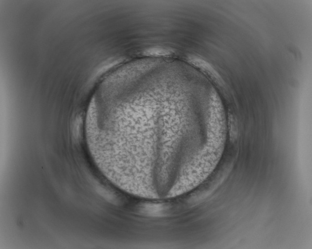 X0000113240071200910081306