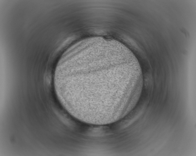 X0000113240072200910081306