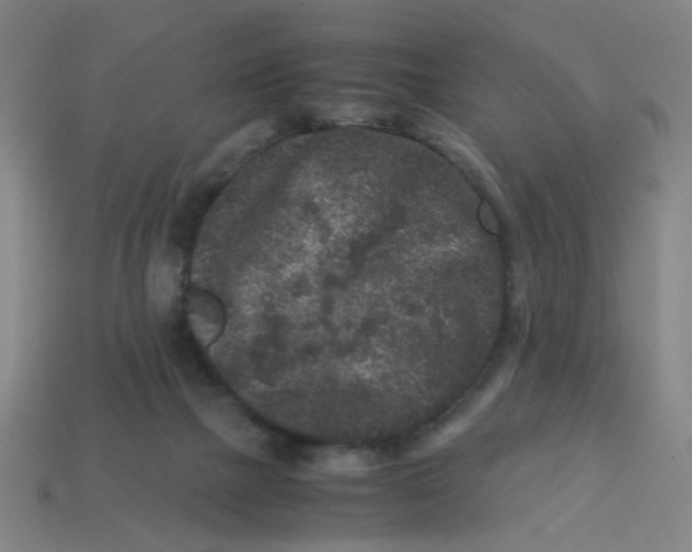 X0000113240073200910081306