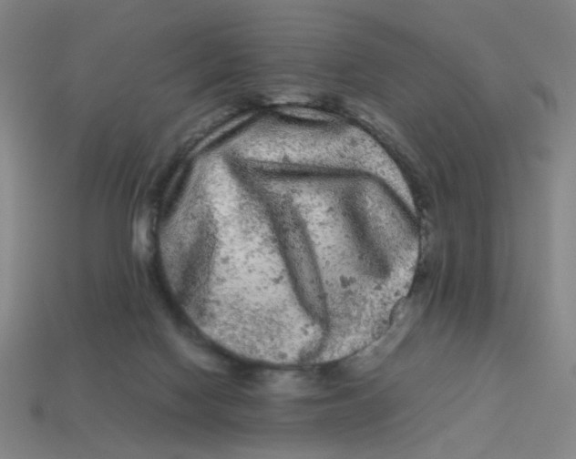 X0000113240074200910081306