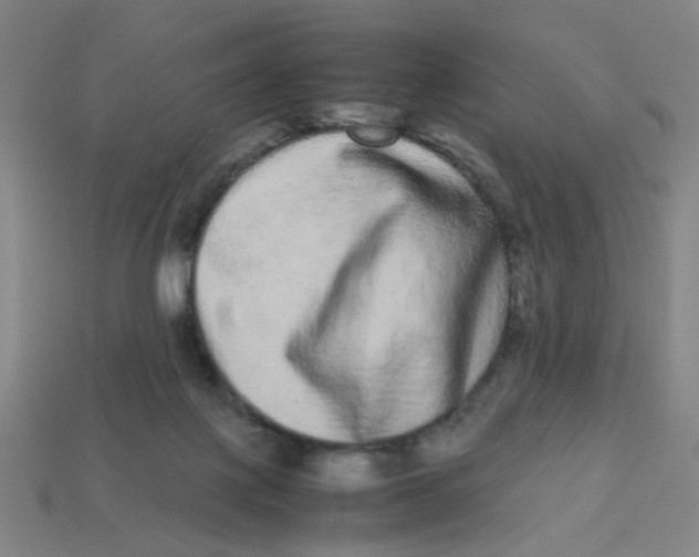 X0000113240075200910081306