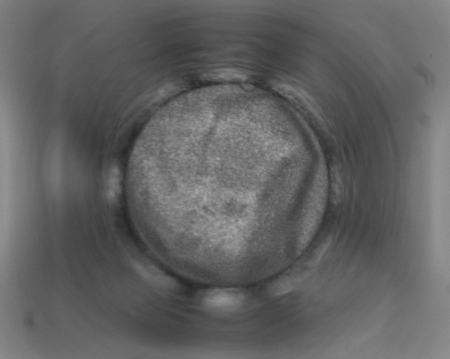 X0000113240077200910081306