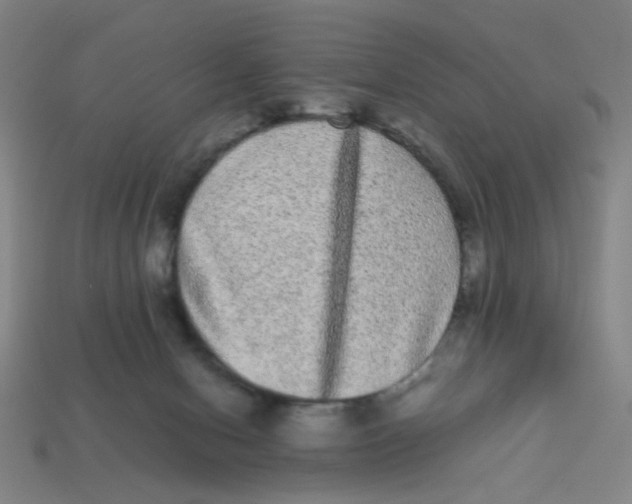 X0000113240078200910081306