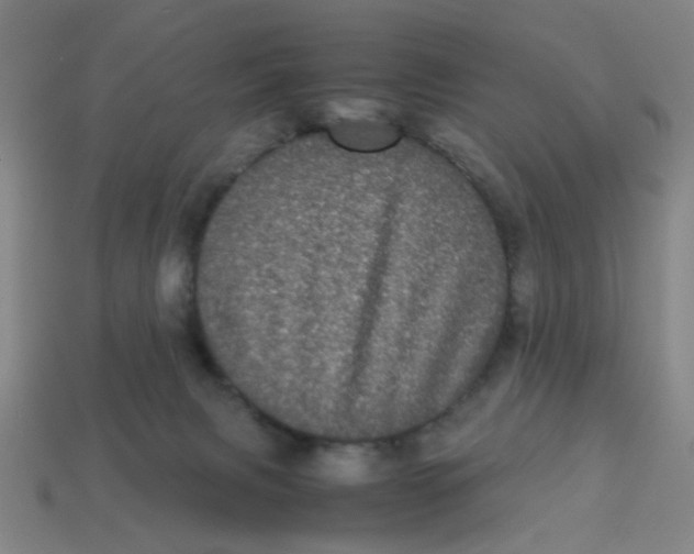 X0000113240079200910081306