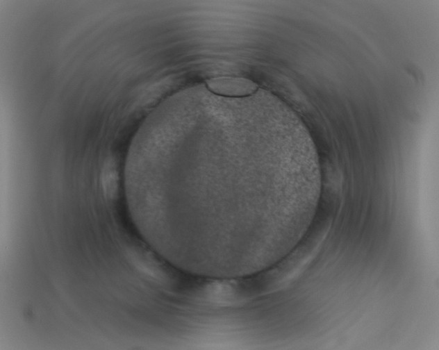 X0000113240080200910081306