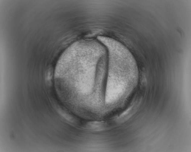 X0000113240082200910081306