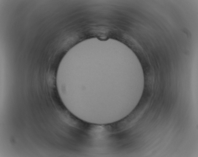 X0000113240083200910081306