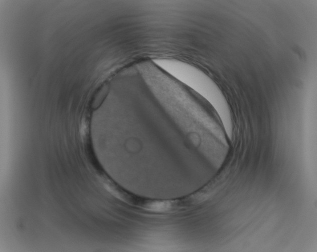 X0000113240084200910081306