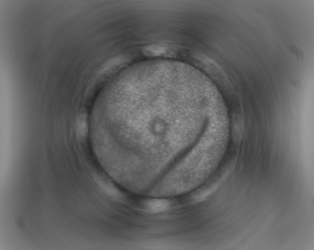 X0000113240085200910081306