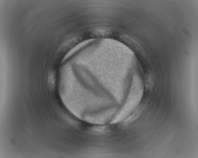 X0000113240086200910081306