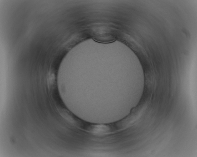 X0000113240087200910081306