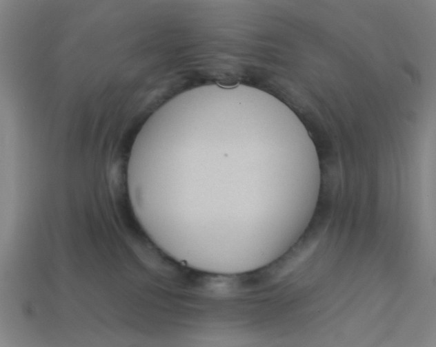 X0000113240088200910081306