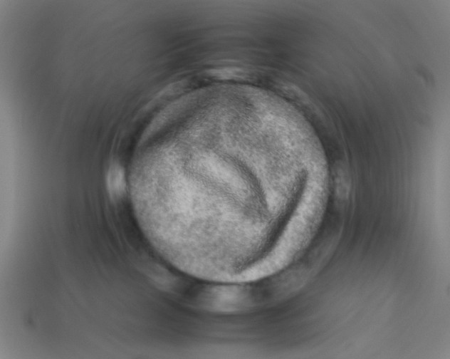 X0000113240089200910081307