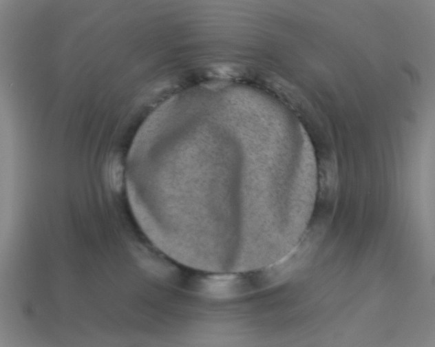 X0000113240090200910081307