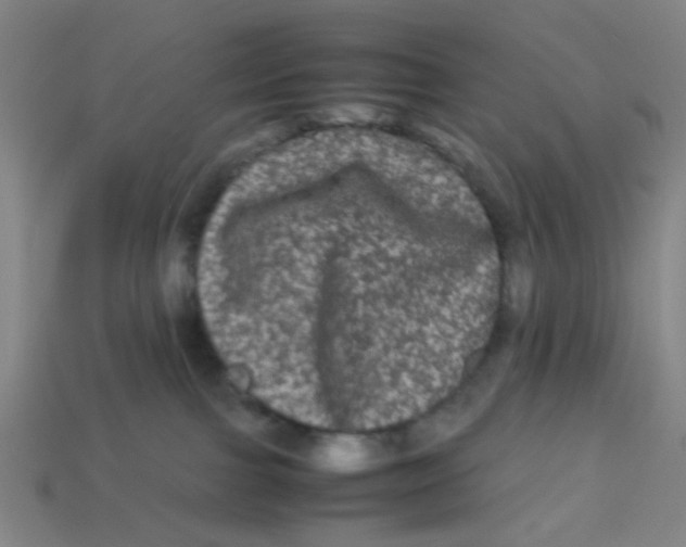 X0000113240091200910081307