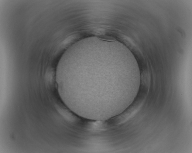 X0000113240092200910081307