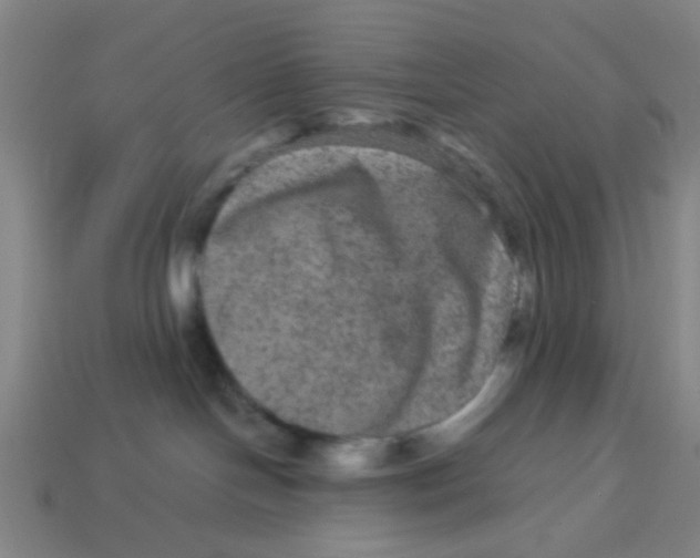 X0000113240094200910081307