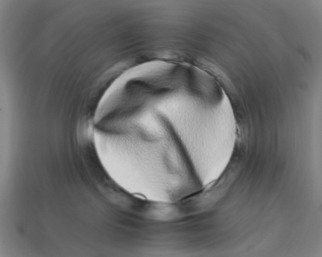 X0000113240095200910081307
