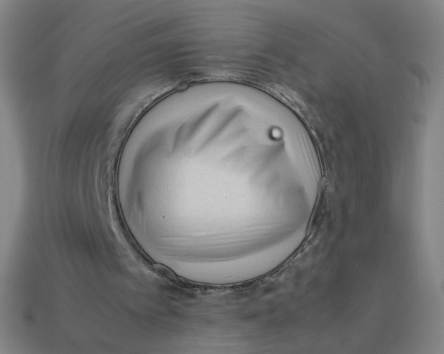 X0000113240097200910081306