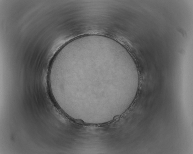 X0000113240098200910081306