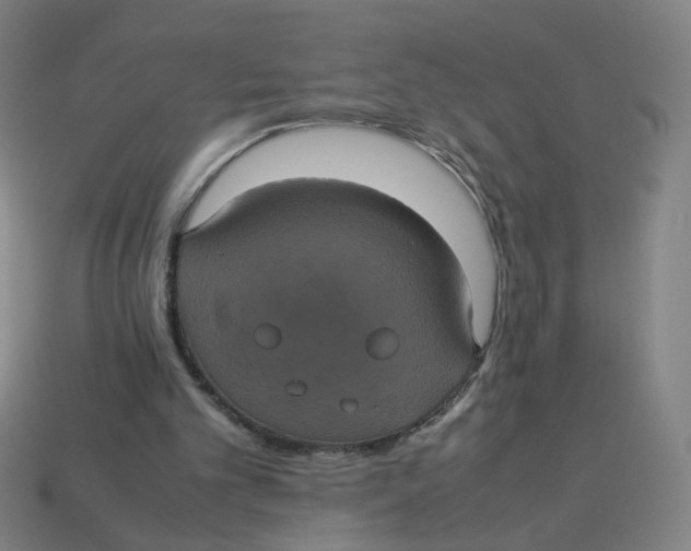 X0000113240101200910081306